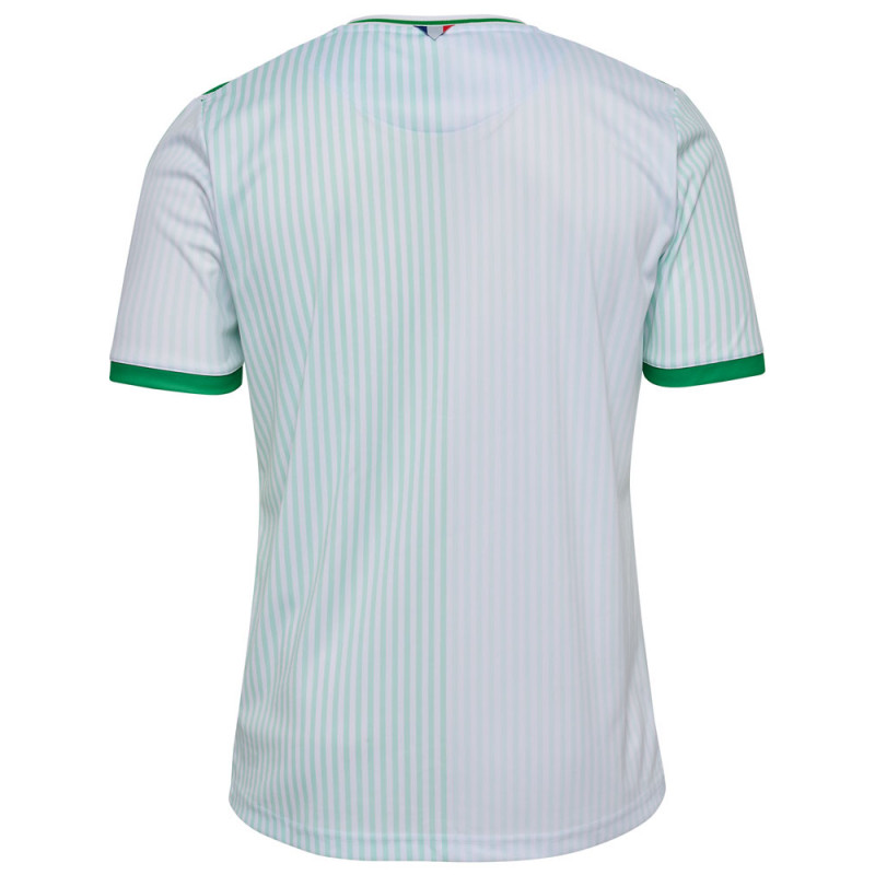 Saint-Étienne uitshirt 2023-2024 - 2