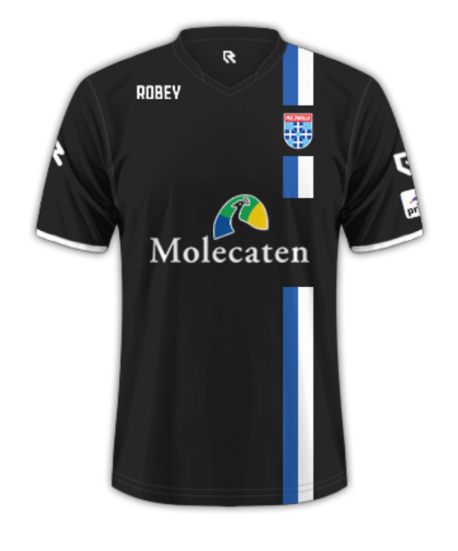 PEC Zwolle 3e shirt 2015-2016 - 1