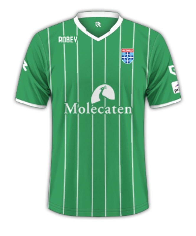 PEC Zwolle uitshirt 2015-2016 - 1