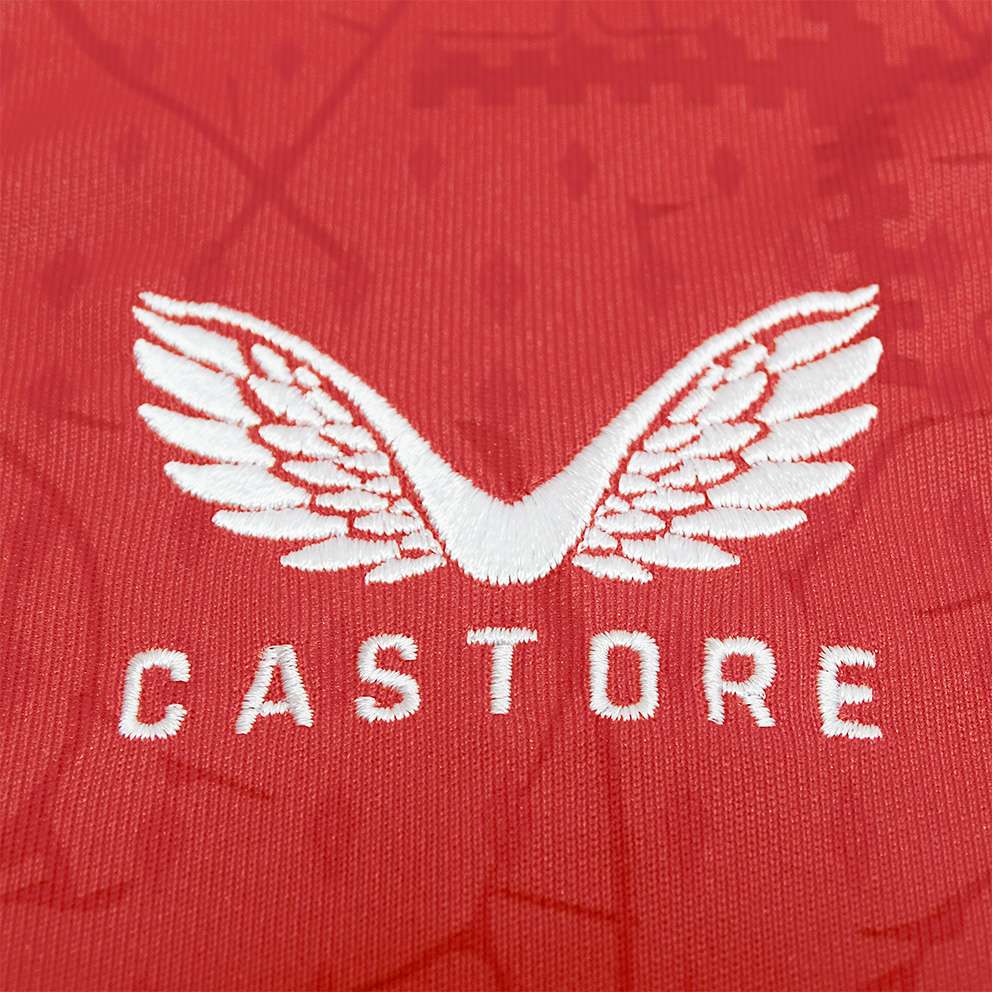 Bayern 04 Leverkusen thuisshirt 2024-2025 - 4