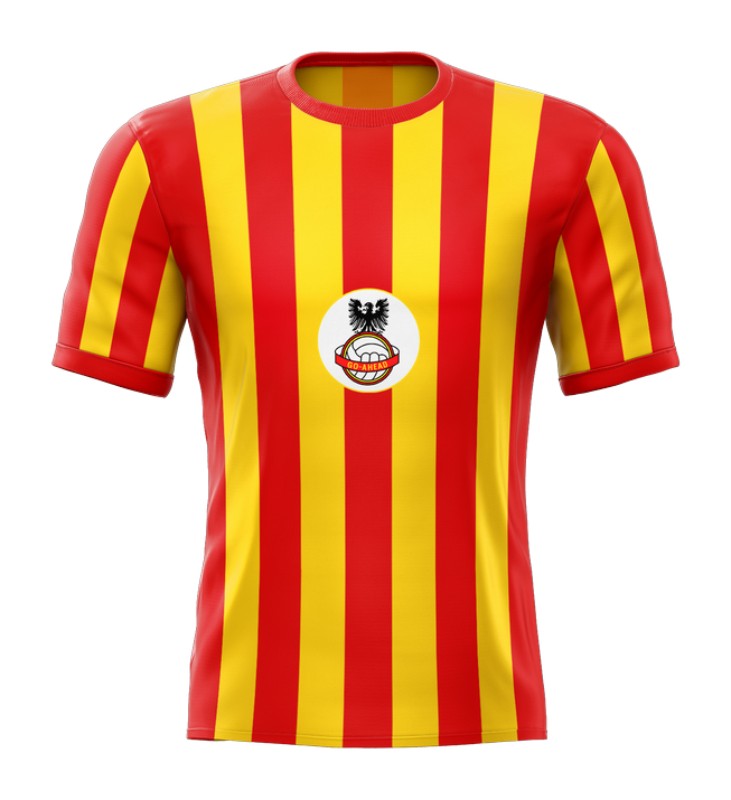 Go Ahead Eagles thuisshirt 1965-1966 - 1