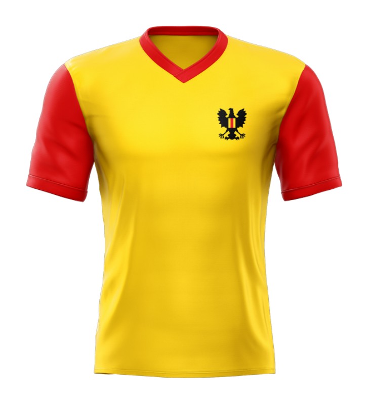 Go Ahead Eagles thuisshirt 1967-1968 - 1