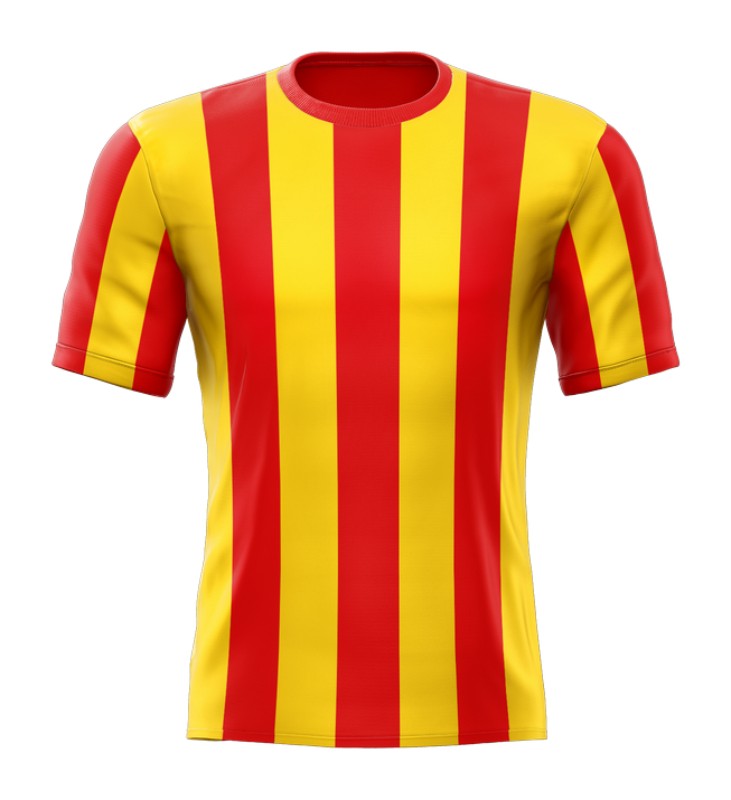Go Ahead Eagles thuisshirt 1981-1982 - 1